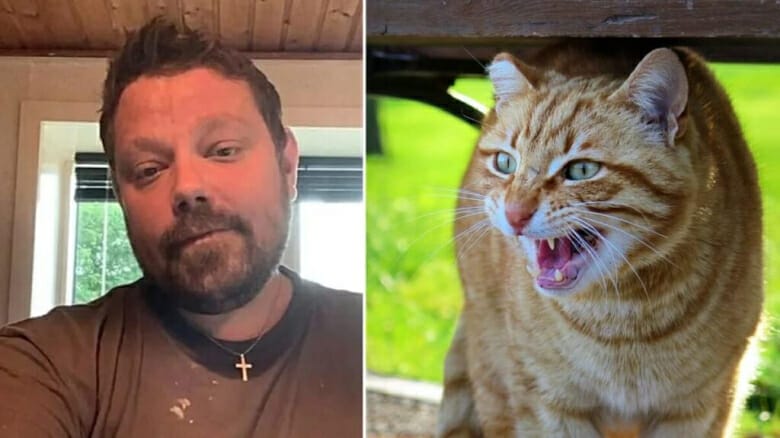 مات رجل بعد 4 سنوات من لدغه قطة
